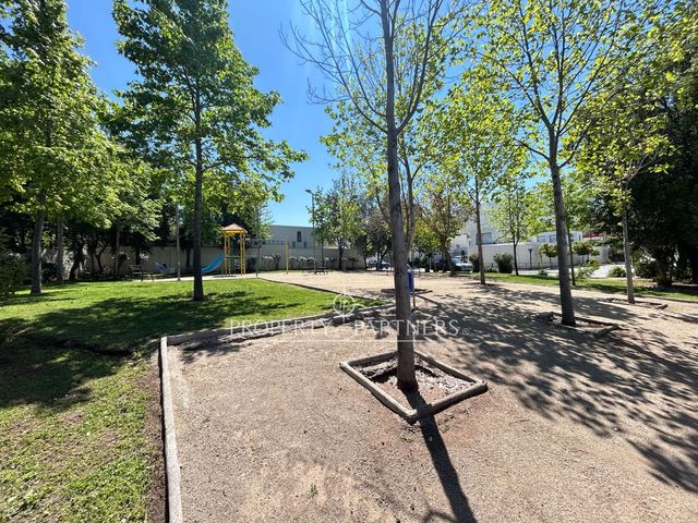 place photo 53