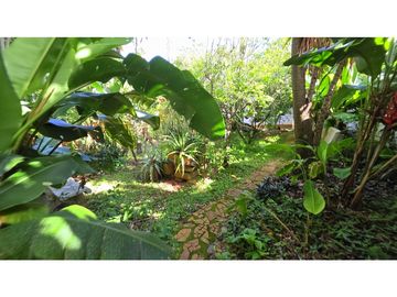 place photo 44