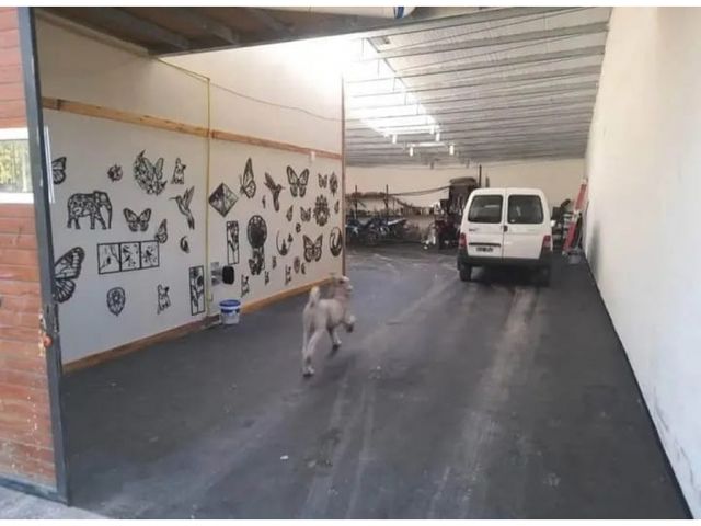 place photo 13