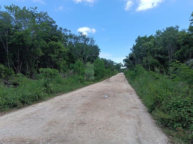 place photo 16
