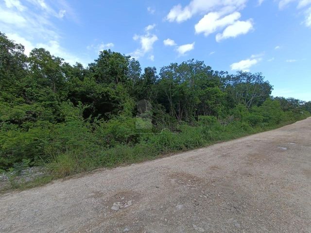 place photo 14