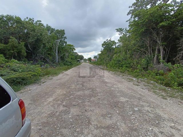 place photo 11