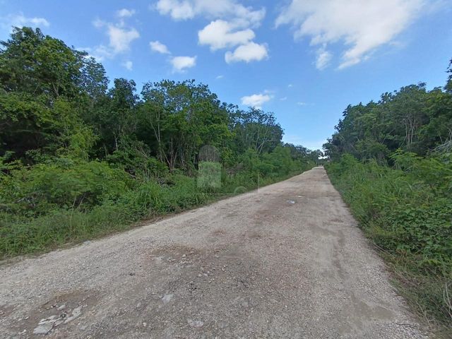 place photo 15
