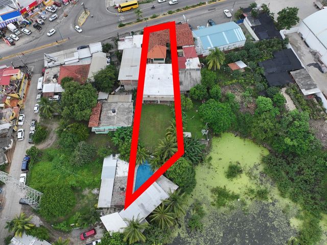 place photo 15