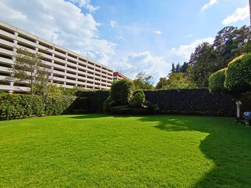 place photo 37