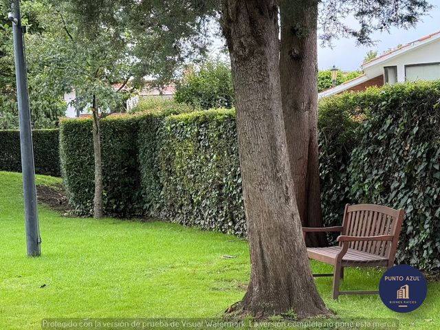 place photo 43