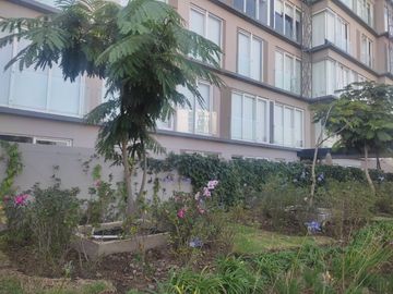 place photo 28
