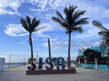 place photo 28