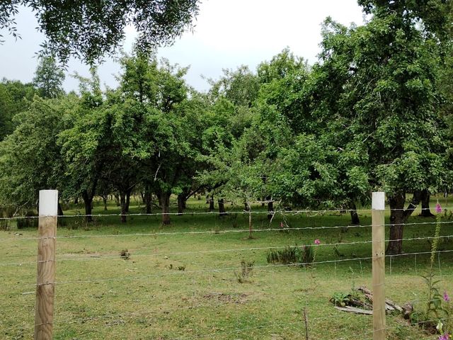 place photo 27