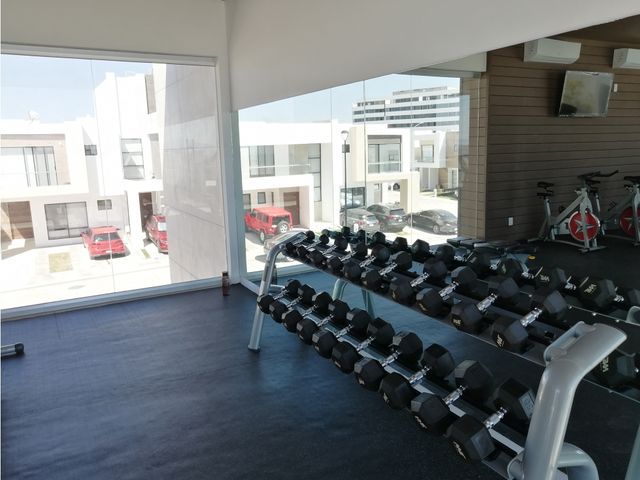 place photo 34