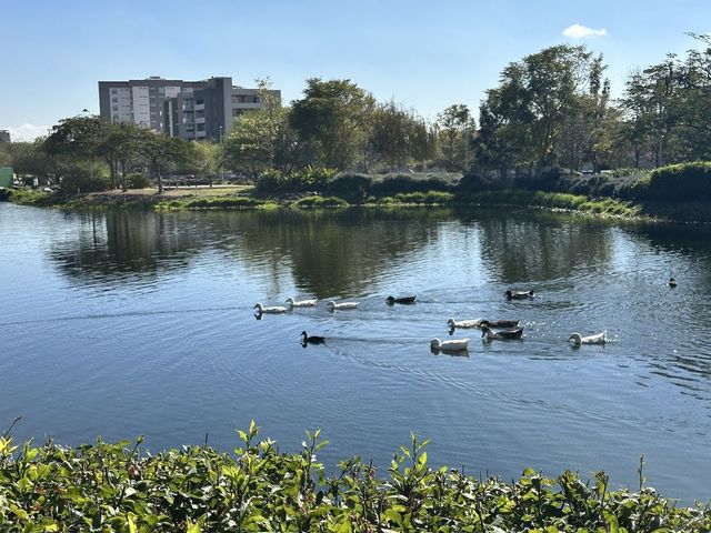 place photo 24