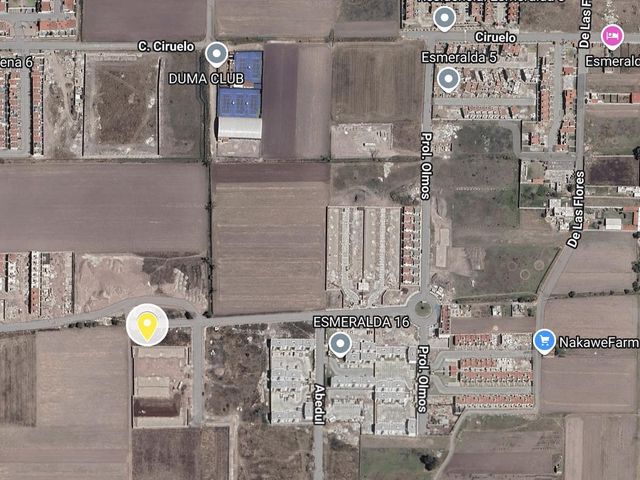 place photo 8