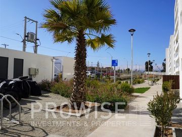 place photo 19