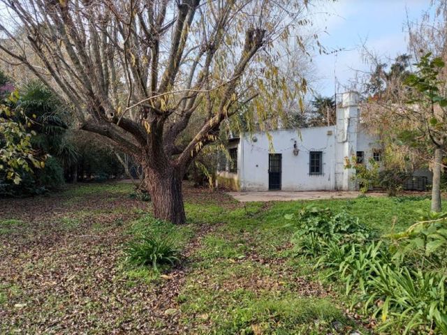 place photo 12