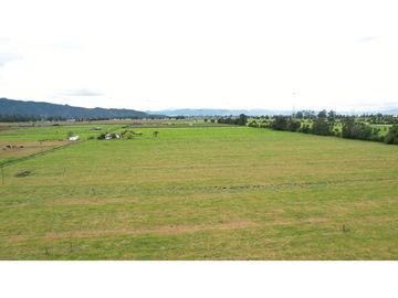 place photo 54