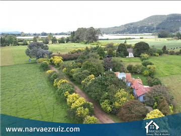place photo 47