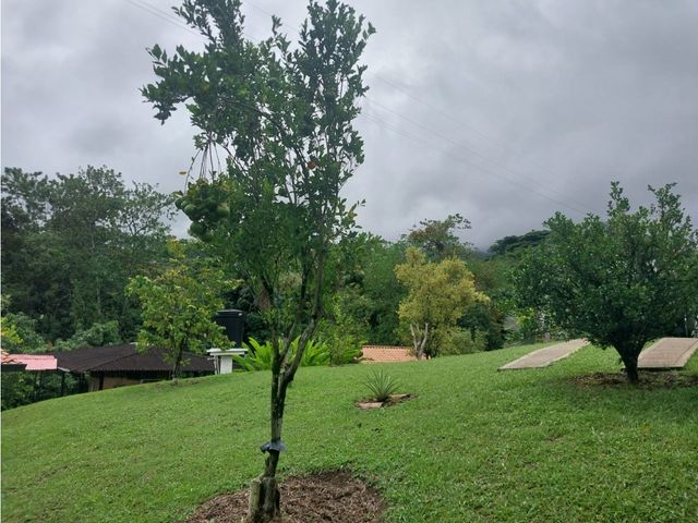 place photo 48