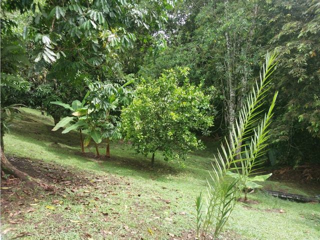 place photo 43