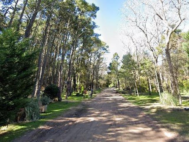 place photo 9