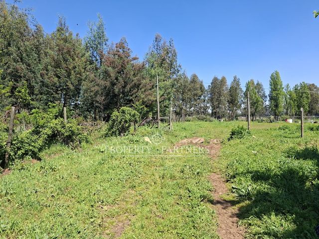 place photo 35