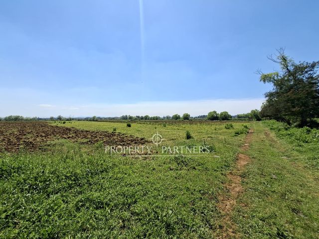 place photo 33