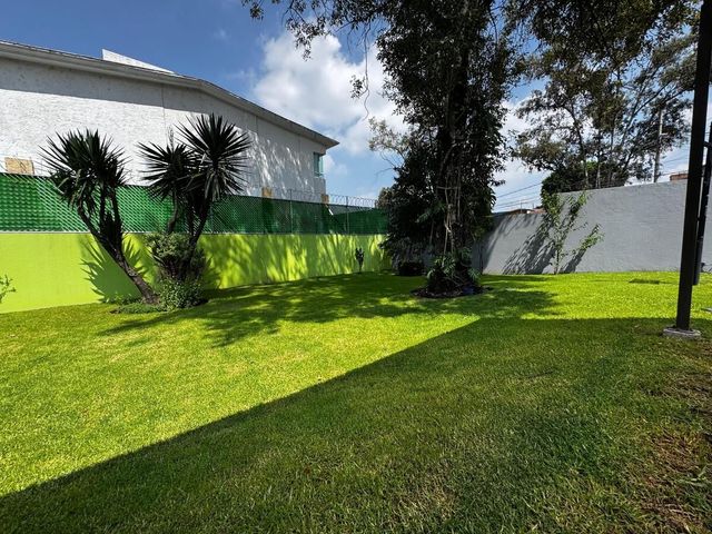 place photo 23