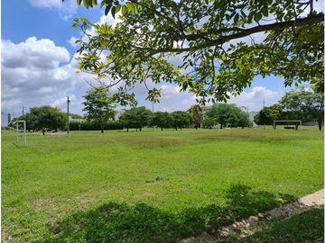 place photo 25