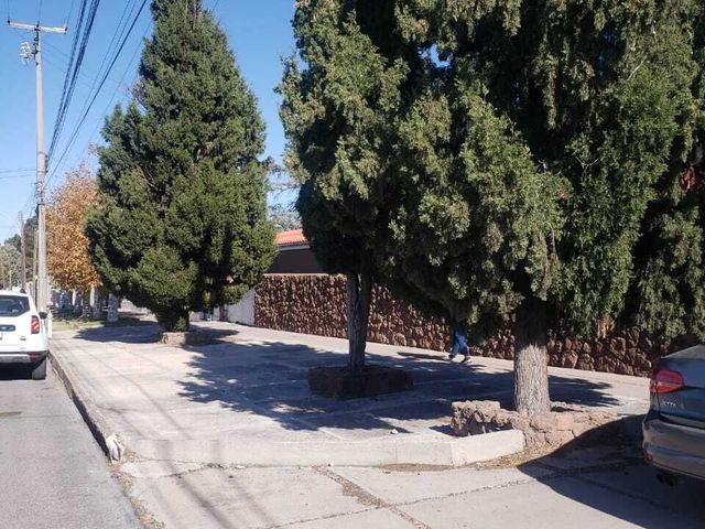 place photo 16