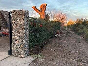 place photo 22