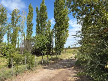 place photo 35