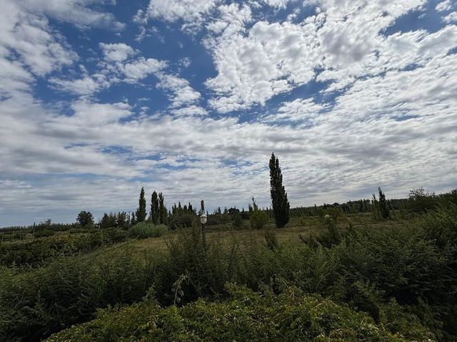 place photo 45
