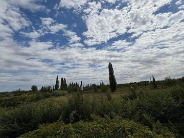 place photo 45
