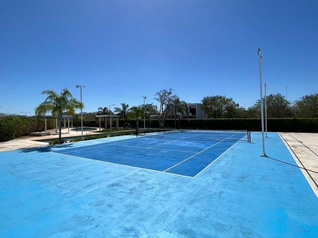 place photo 14
