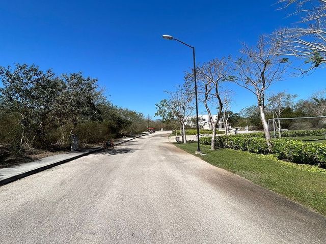 place photo 18