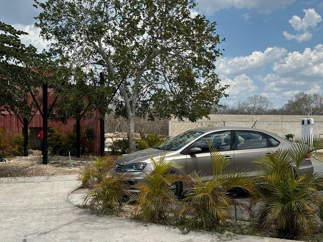 place photo 21