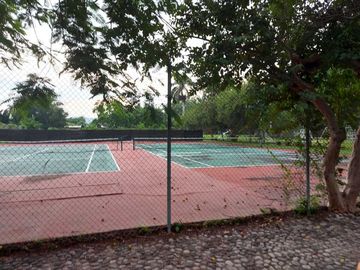 place photo 14