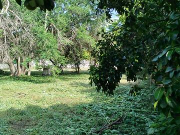 place photo 19