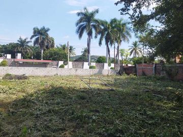 place photo 25