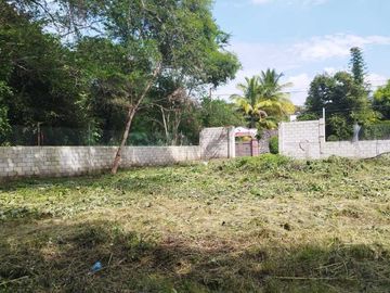 place photo 23