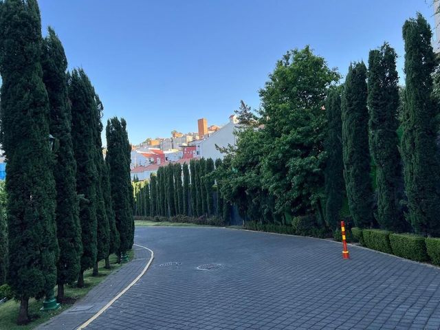 place photo 27