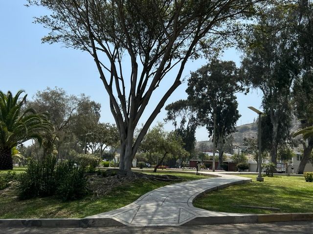 place photo 23