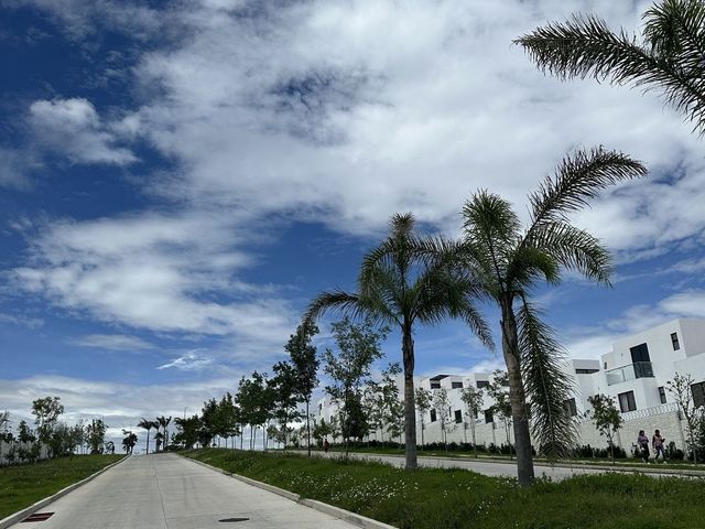 place photo 22