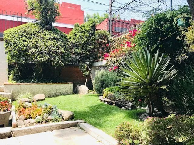 place photo 19