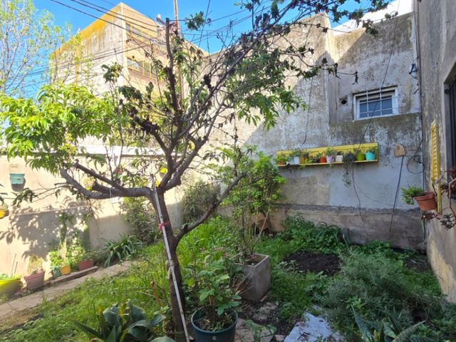 place photo 17