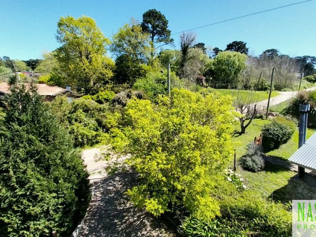 place photo 49