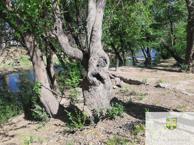 place photo 52