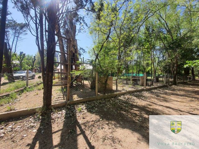 place photo 49
