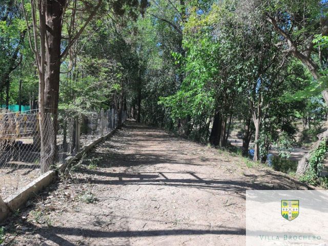 place photo 47