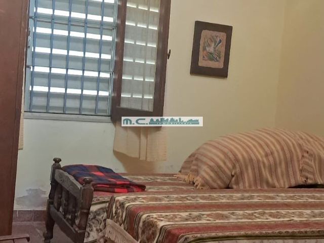 place photo 50