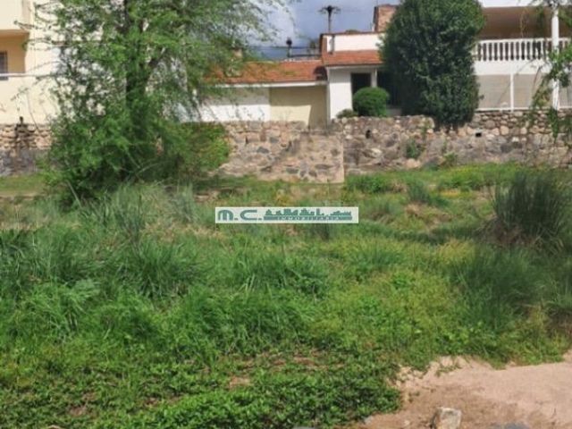 place photo 43